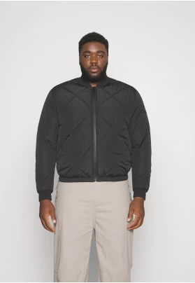 SIGNATURE QUILT - Chaquetas bomber