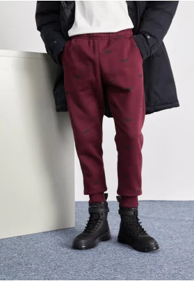 FILLED PARKA - Abrigo de invierno